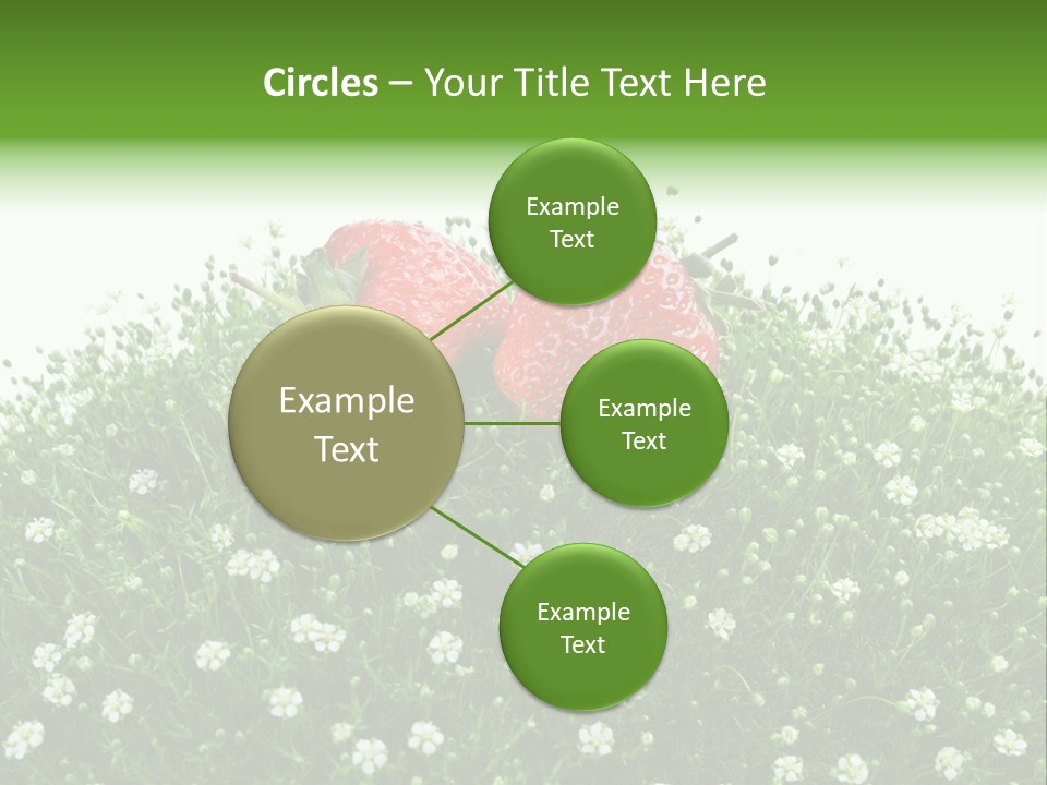 White Isolated Flowers PowerPoint Template