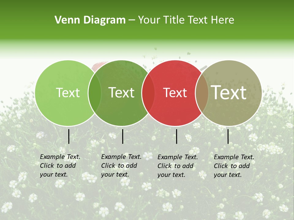 White Isolated Flowers PowerPoint Template