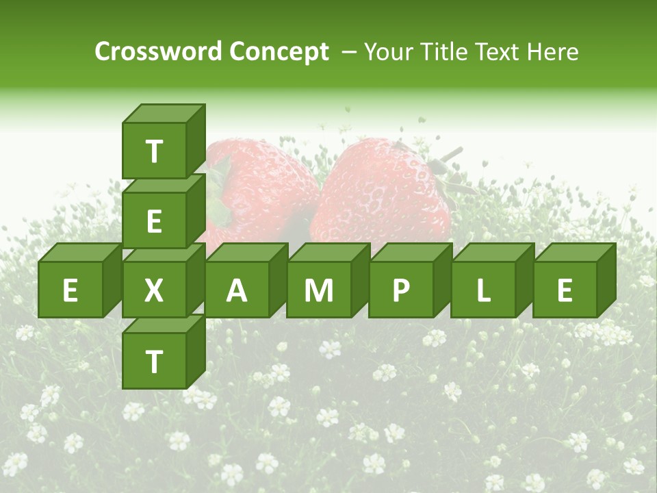 White Isolated Flowers PowerPoint Template