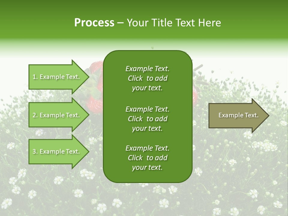 White Isolated Flowers PowerPoint Template