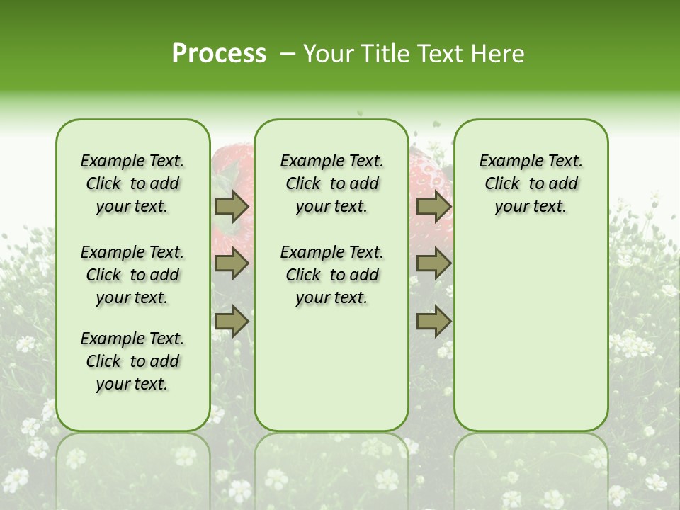 White Isolated Flowers PowerPoint Template