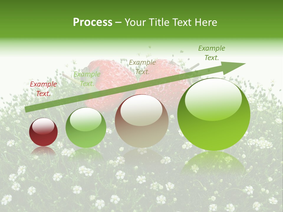 White Isolated Flowers PowerPoint Template