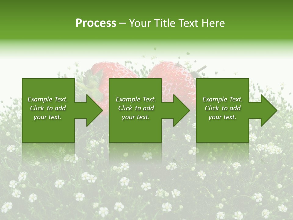 White Isolated Flowers PowerPoint Template