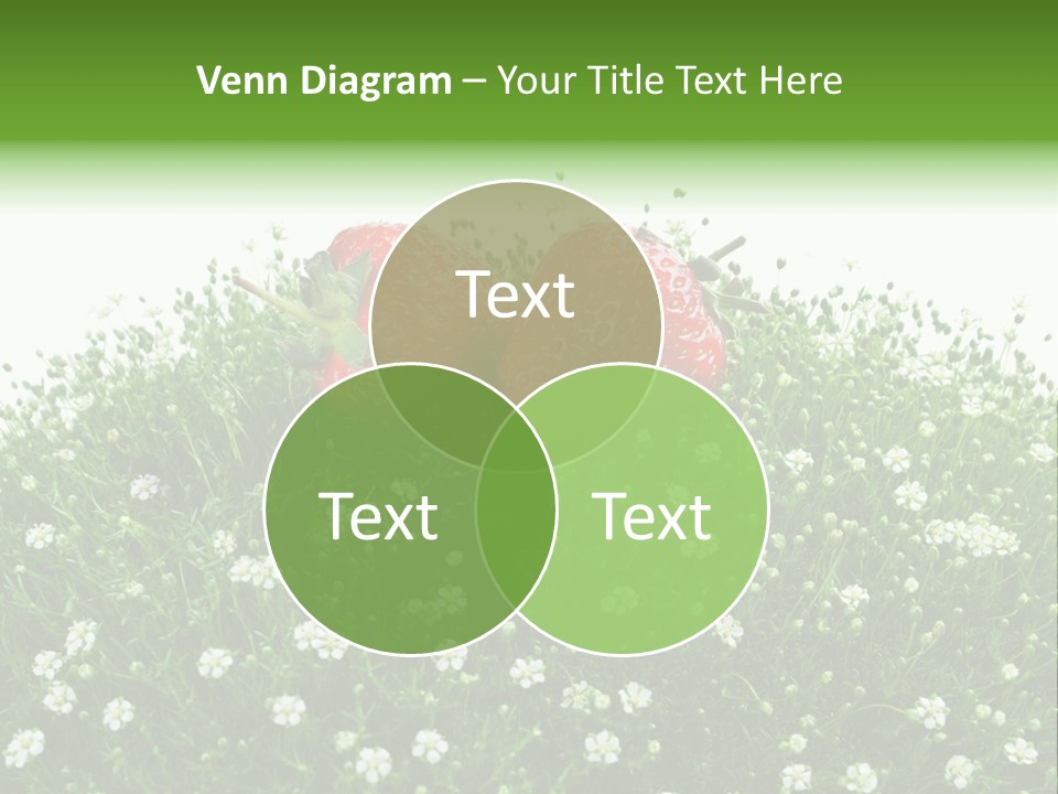 White Isolated Flowers PowerPoint Template