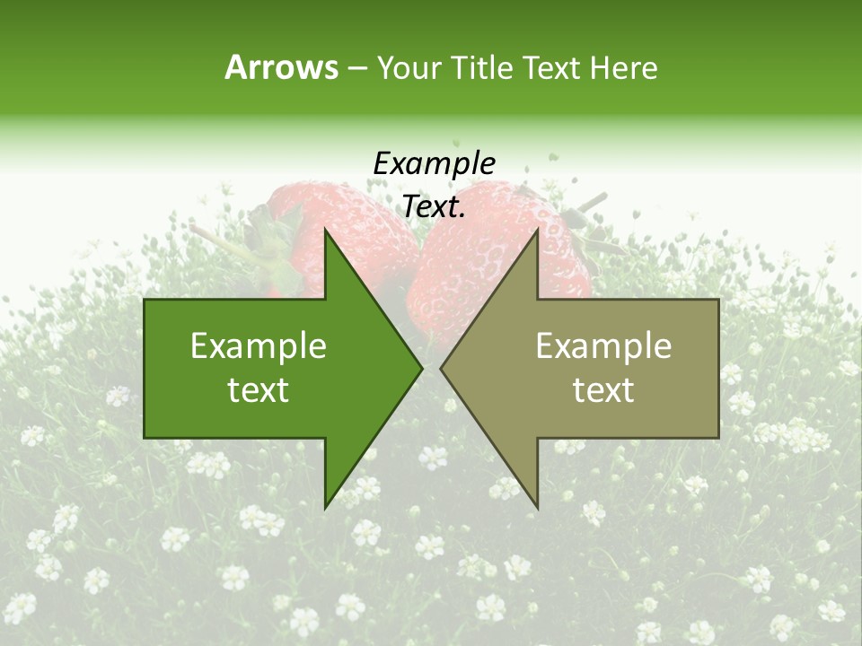 White Isolated Flowers PowerPoint Template