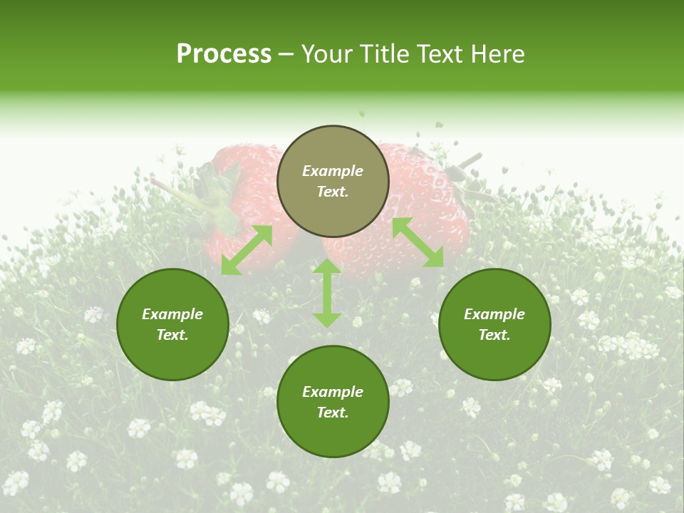White Isolated Flowers PowerPoint Template