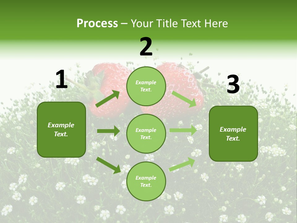 White Isolated Flowers PowerPoint Template