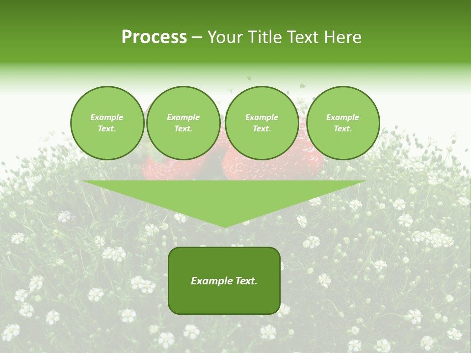 White Isolated Flowers PowerPoint Template