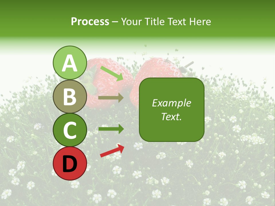 White Isolated Flowers PowerPoint Template