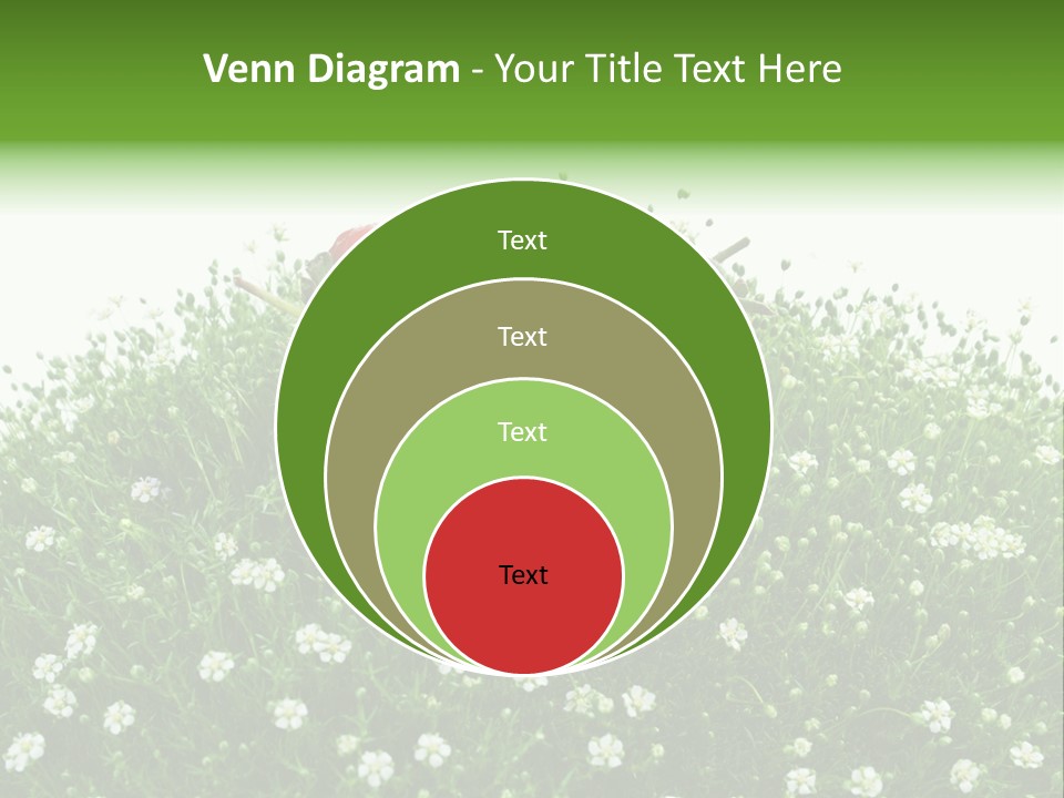 White Isolated Flowers PowerPoint Template