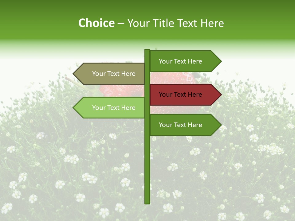 White Isolated Flowers PowerPoint Template