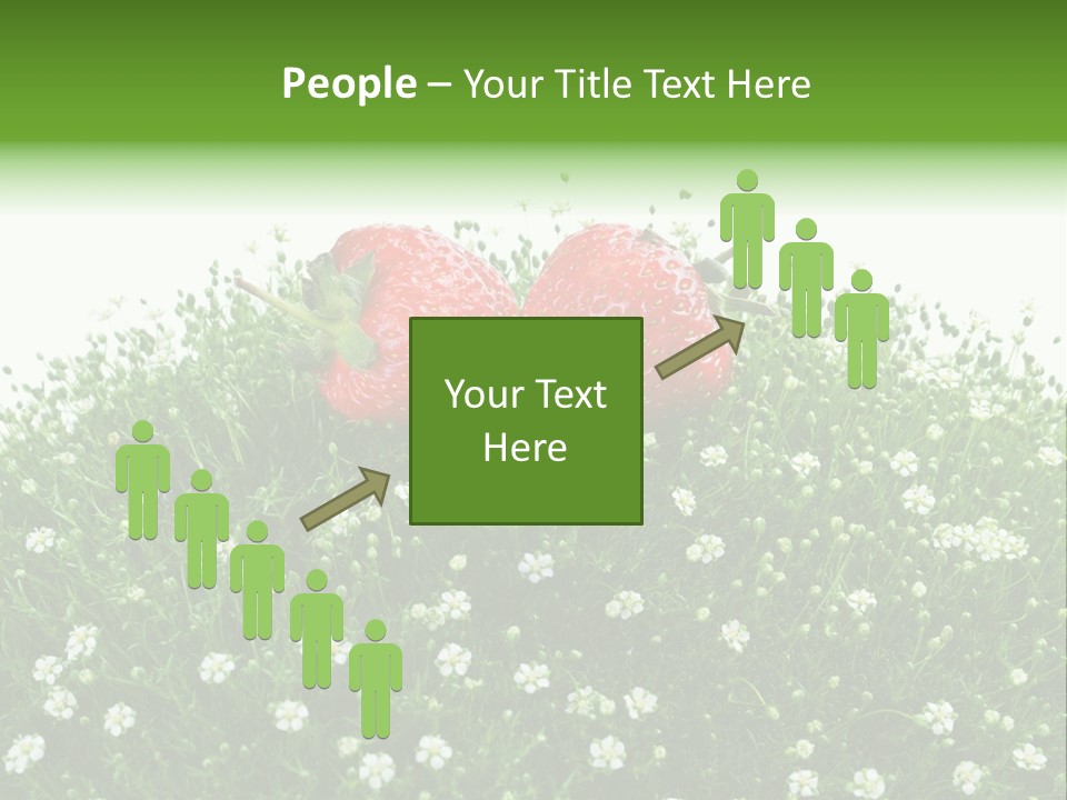 White Isolated Flowers PowerPoint Template