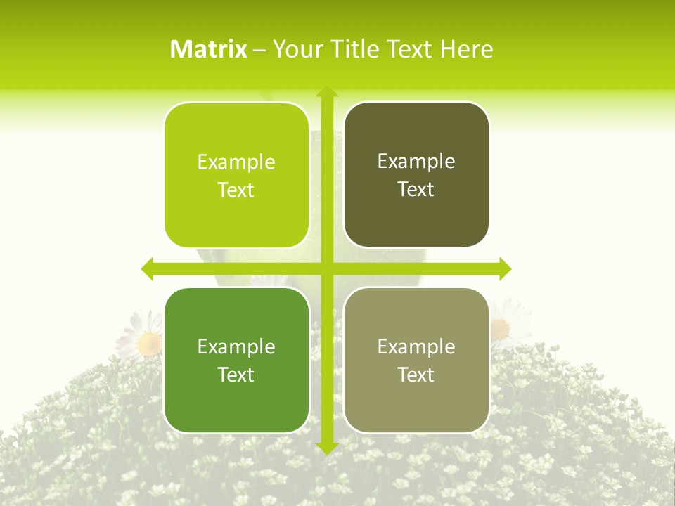 Vein Fruit Single PowerPoint Template