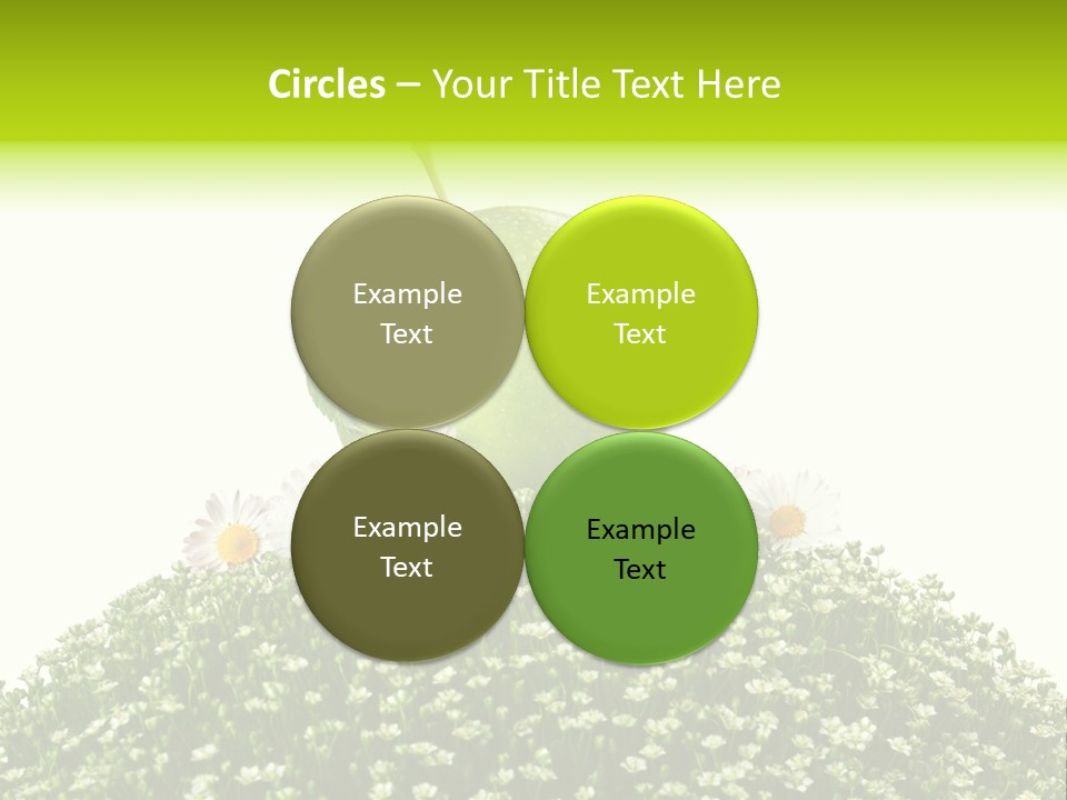 Vein Fruit Single PowerPoint Template