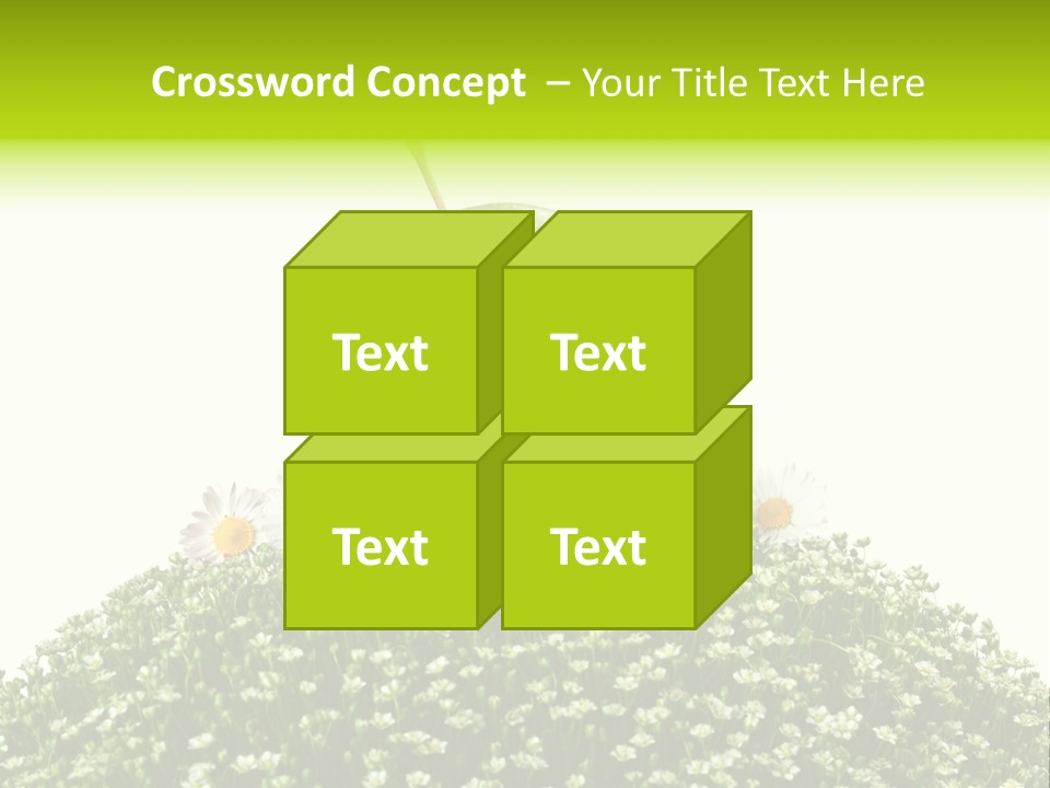 Vein Fruit Single PowerPoint Template