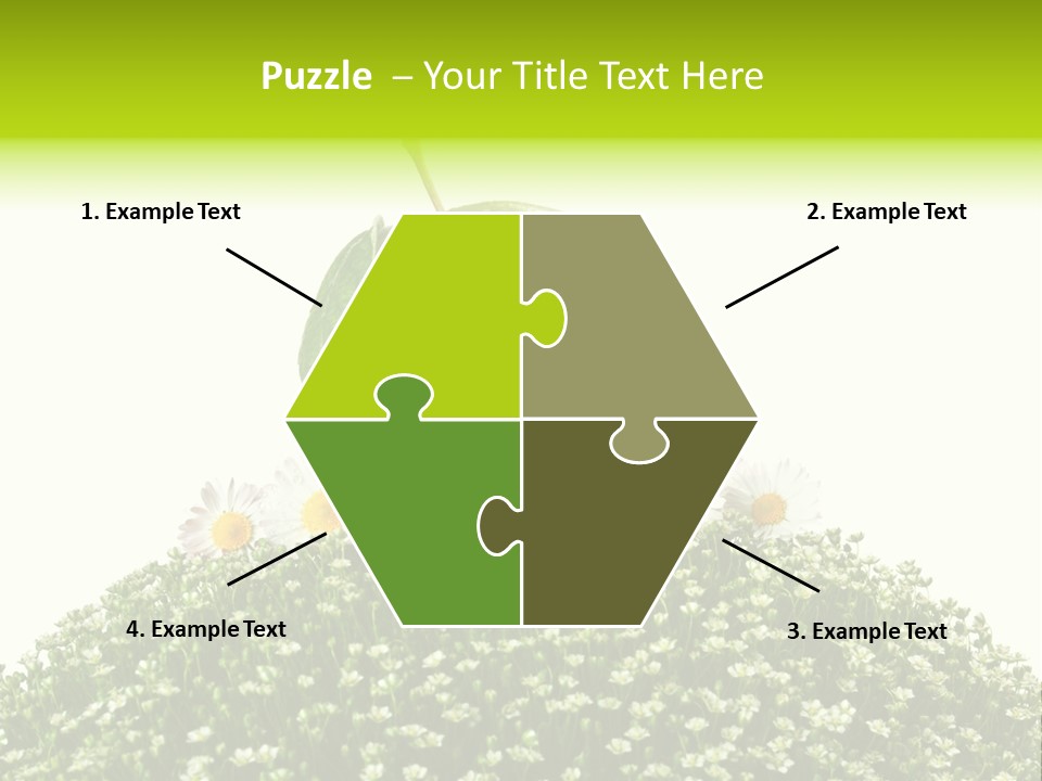 Vein Fruit Single PowerPoint Template