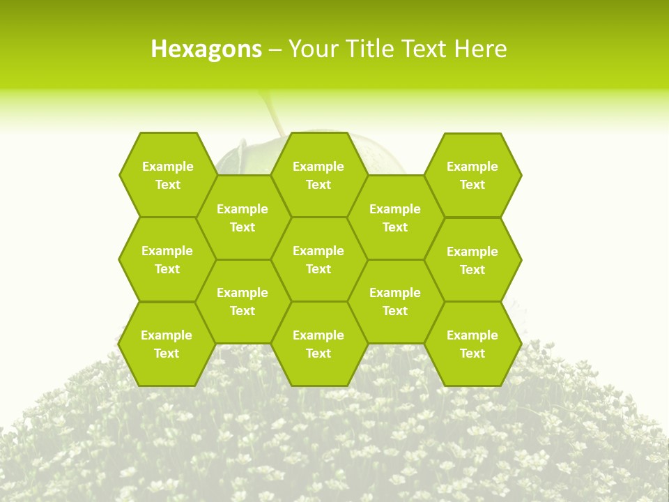 Vein Fruit Single PowerPoint Template