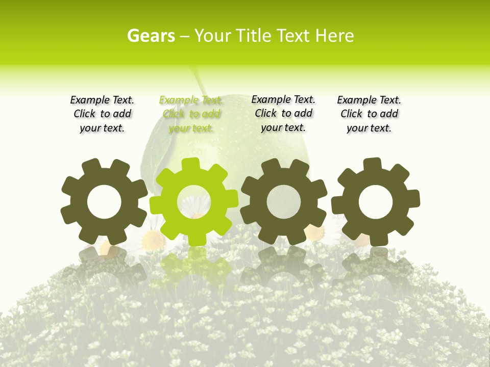 Vein Fruit Single PowerPoint Template