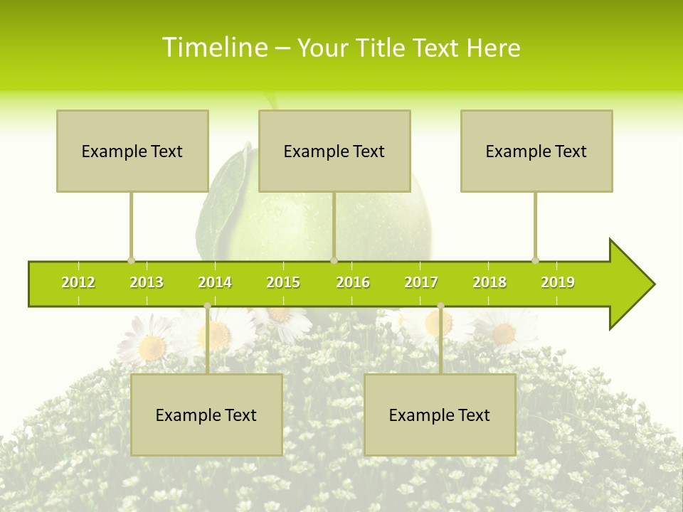 Vein Fruit Single PowerPoint Template