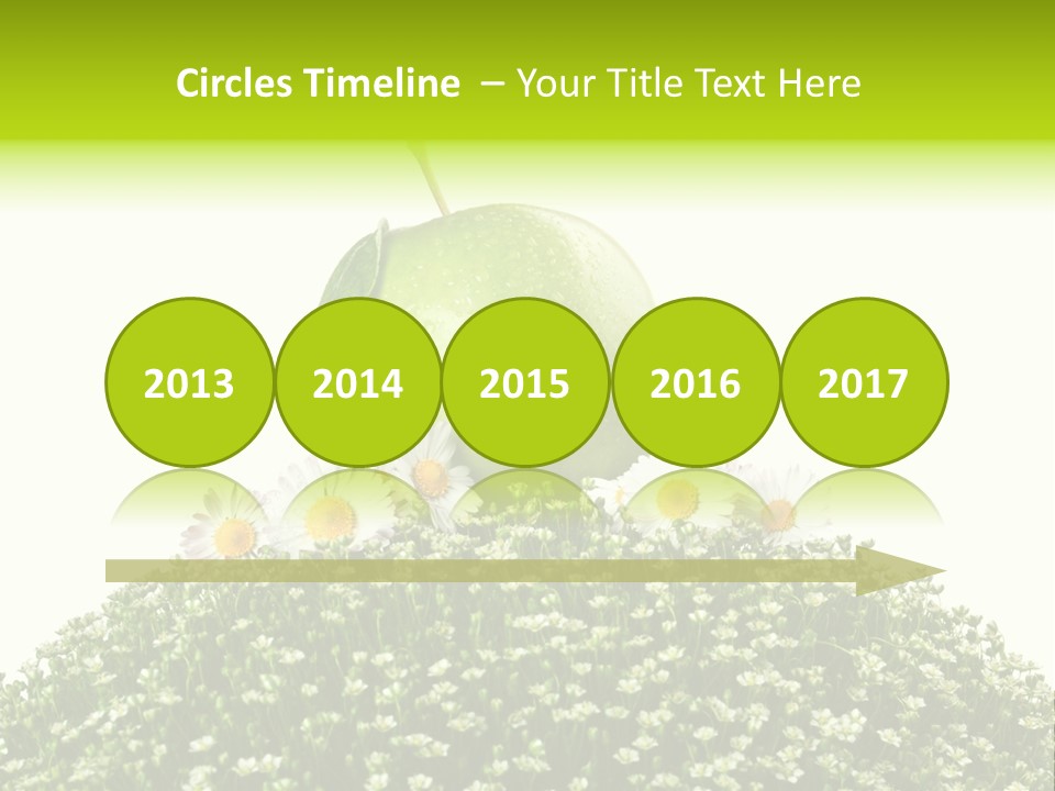 Vein Fruit Single PowerPoint Template