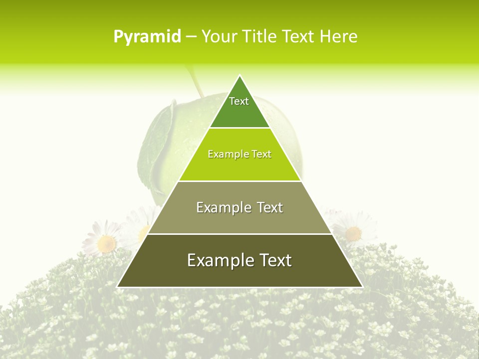 Vein Fruit Single PowerPoint Template