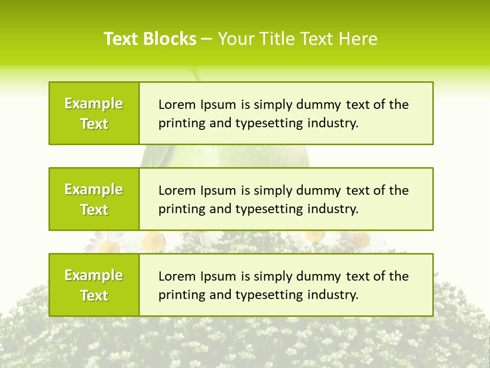 Vein Fruit Single PowerPoint Template