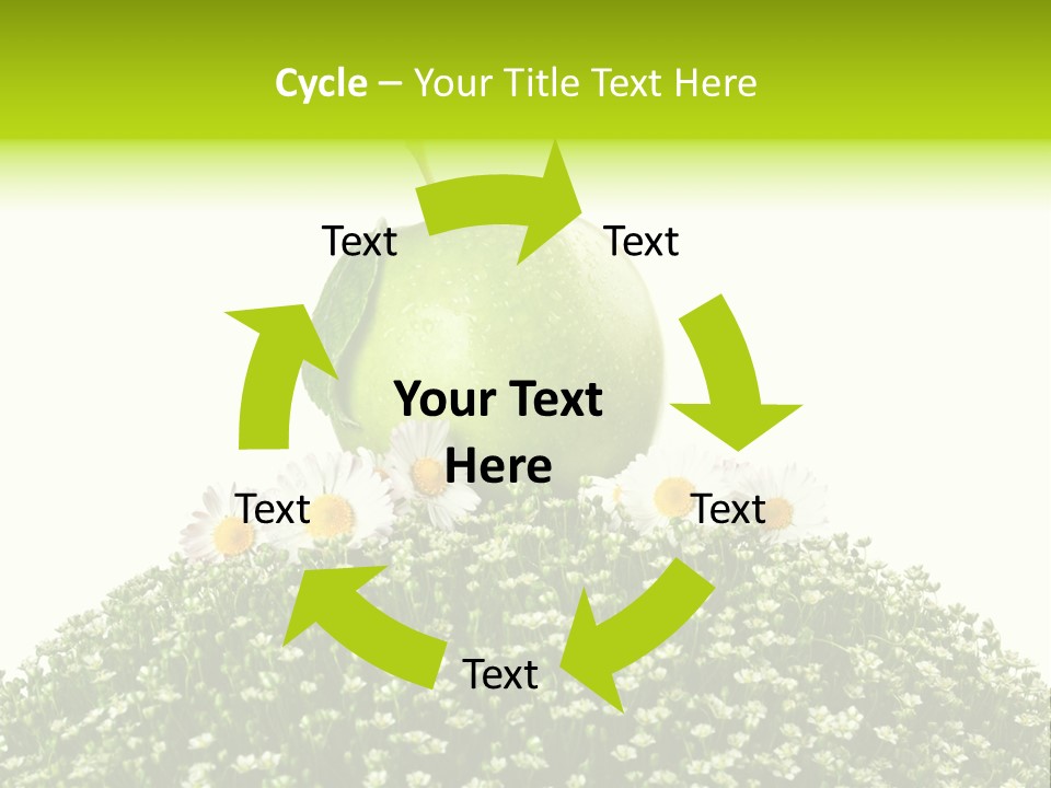 Vein Fruit Single PowerPoint Template