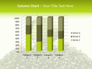 Vein Fruit Single PowerPoint Template