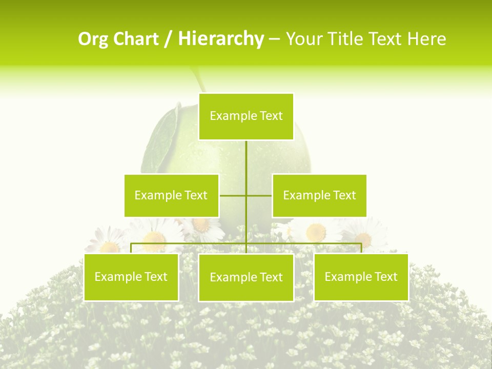 Vein Fruit Single PowerPoint Template