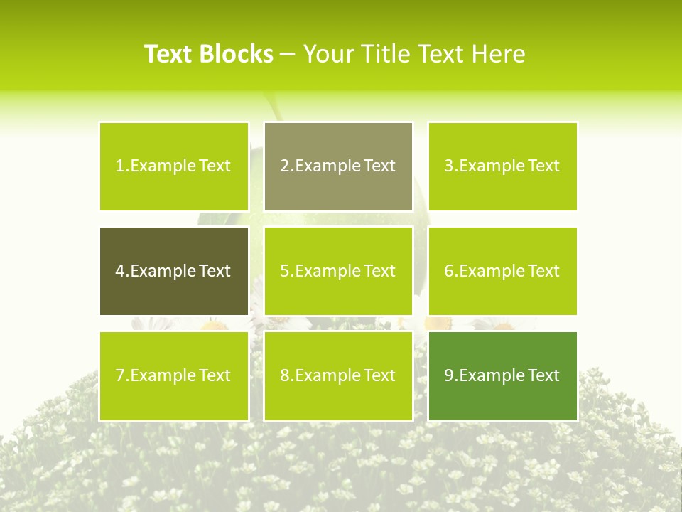 Vein Fruit Single PowerPoint Template