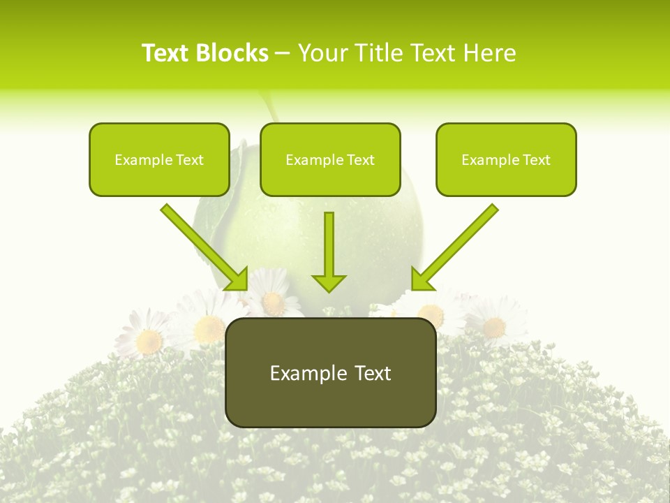 Vein Fruit Single PowerPoint Template