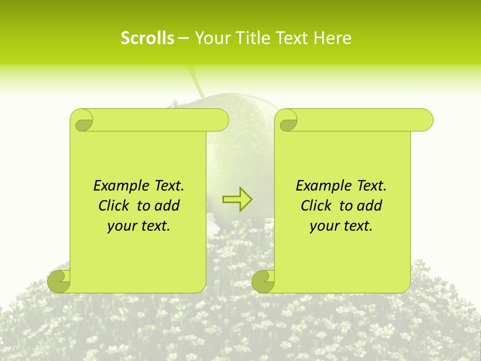Vein Fruit Single PowerPoint Template