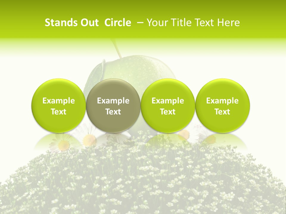 Vein Fruit Single PowerPoint Template