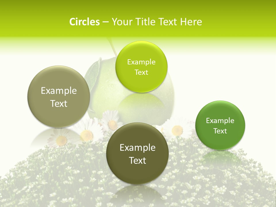 Vein Fruit Single PowerPoint Template