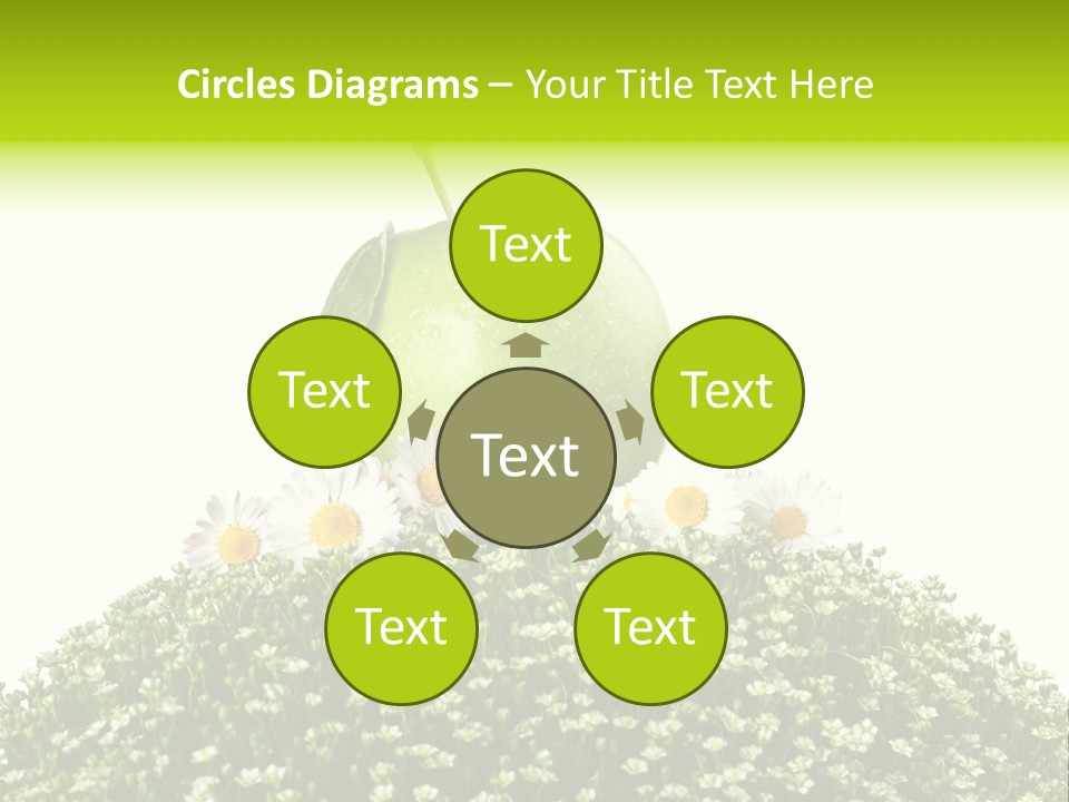 Vein Fruit Single PowerPoint Template