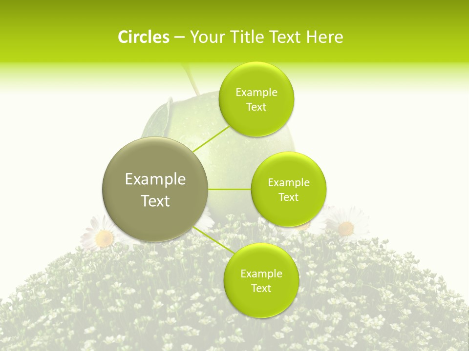 Vein Fruit Single PowerPoint Template