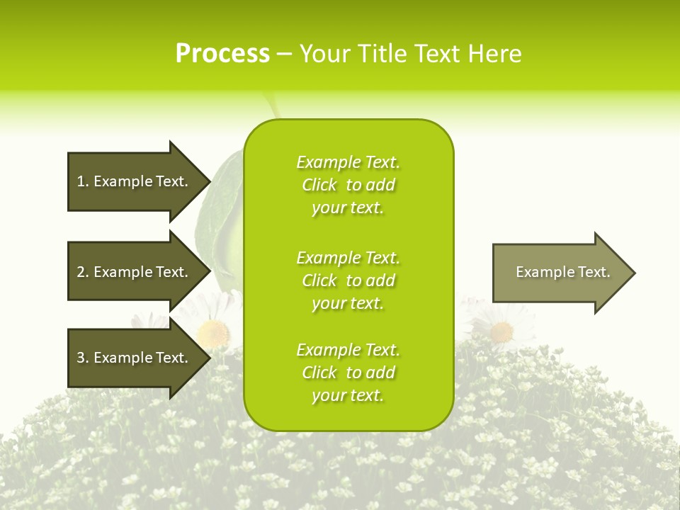 Vein Fruit Single PowerPoint Template