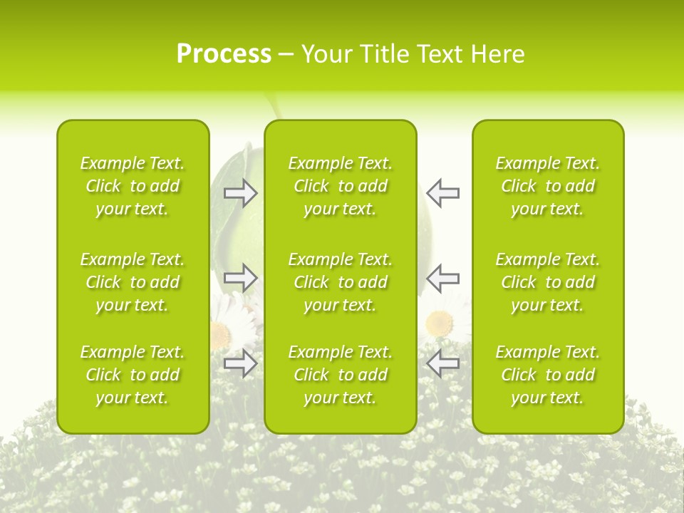 Vein Fruit Single PowerPoint Template