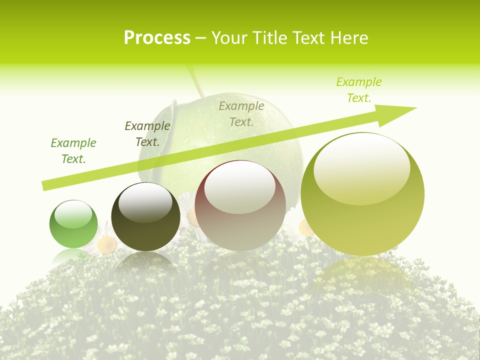 Vein Fruit Single PowerPoint Template