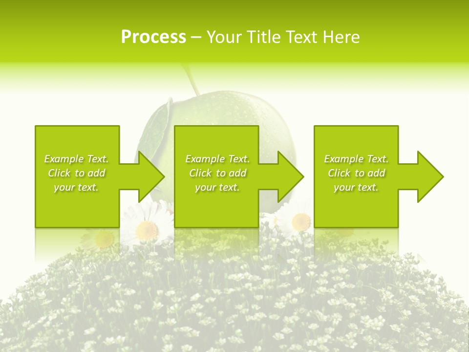 Vein Fruit Single PowerPoint Template