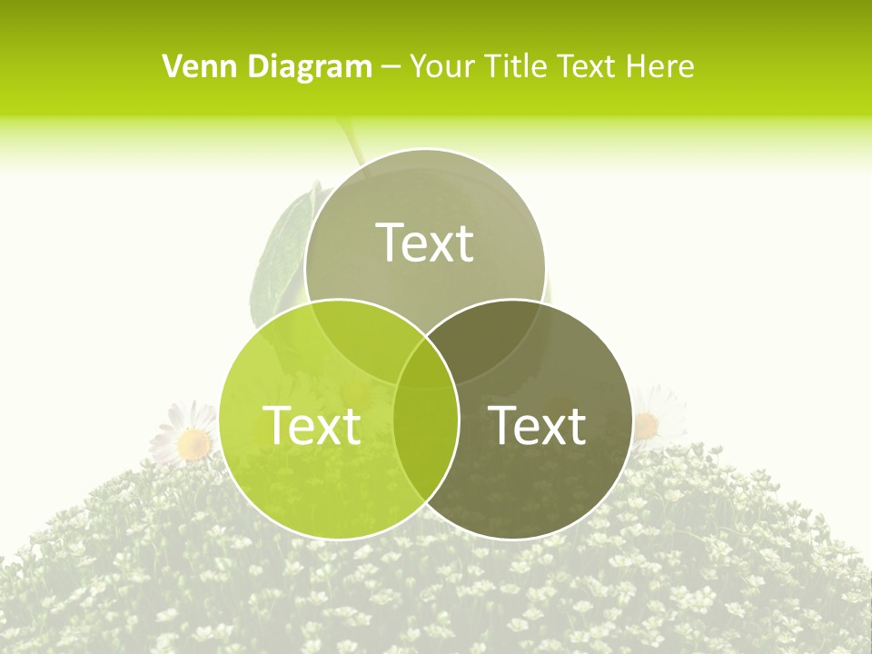 Vein Fruit Single PowerPoint Template