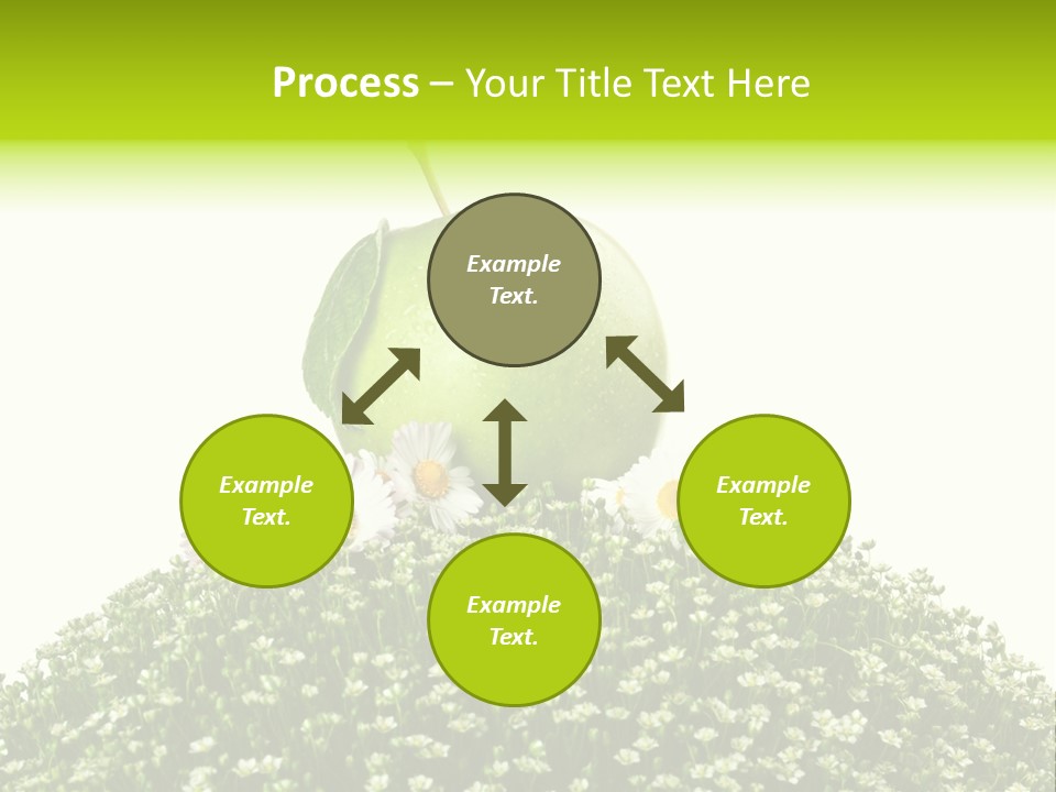 Vein Fruit Single PowerPoint Template