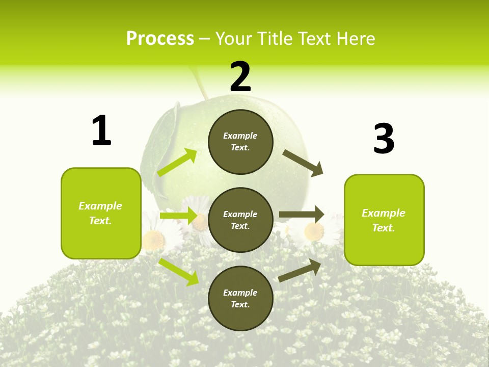 Vein Fruit Single PowerPoint Template