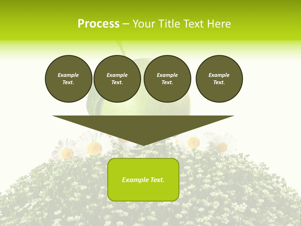 Vein Fruit Single PowerPoint Template