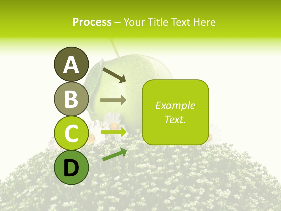 Vein Fruit Single PowerPoint Template