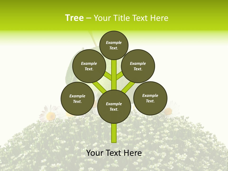 Vein Fruit Single PowerPoint Template