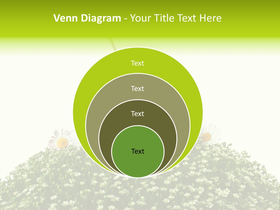 Vein Fruit Single PowerPoint Template