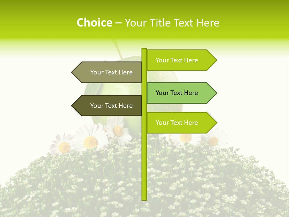 Vein Fruit Single PowerPoint Template