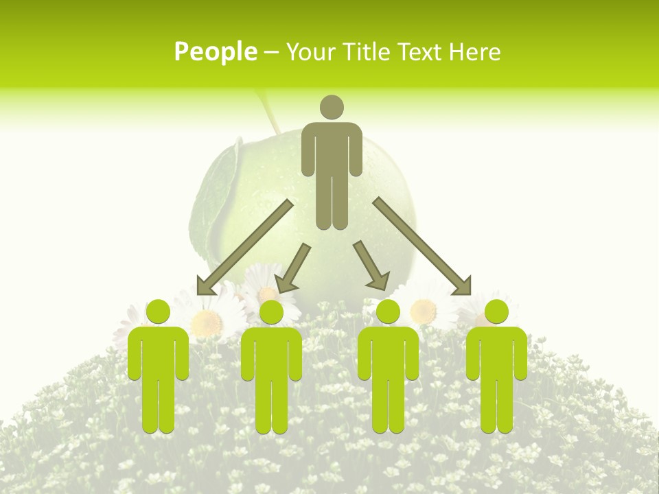 Vein Fruit Single PowerPoint Template