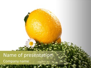 Leaf Fresh Diet PowerPoint Template